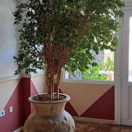 Apartamento Casa Sigfrido