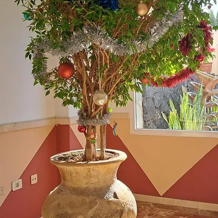 Apartamento Casa Sigfrido