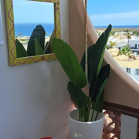 Apartamento Casa Sigfrido