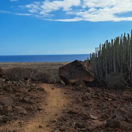 아파트 Casa Sigfrido 팔름-마르