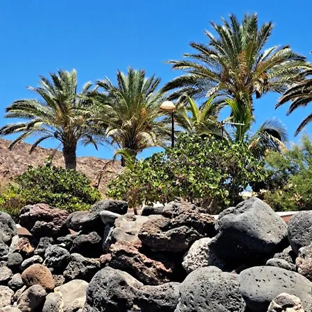 Casa Sigfrido * 팔름-마르